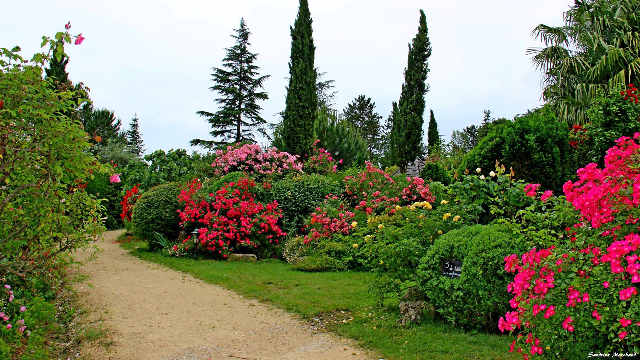 Jardin de Boissanna 2021 4