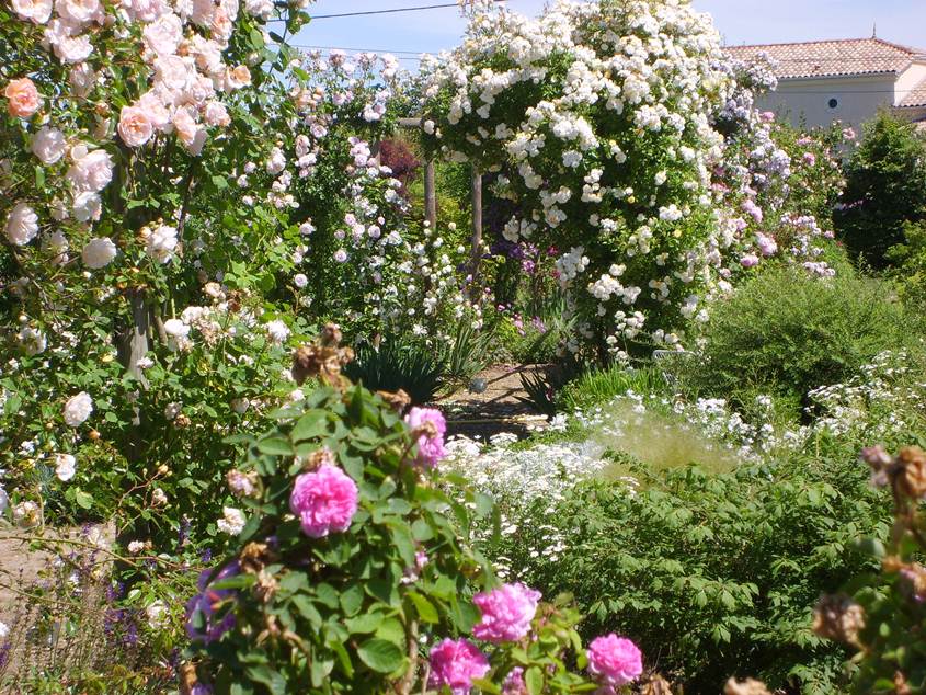 Jardin de Mireille Auriac sur Dropt Duras 20 dim SIRTAQUI
