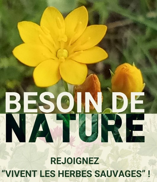 Tourisme Nature Herbes sauvages besoin Nature