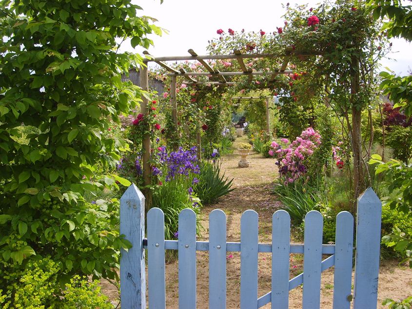 Jardin de MireilleI