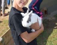 Parc animalier