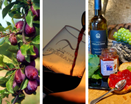 Bio et nouvelles consommations Locavores